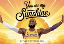 LeBron James You Are My Sunshine