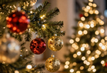 christmas-lights-etc