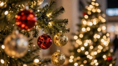 christmas-lights-etc