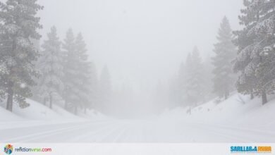 snow storm california